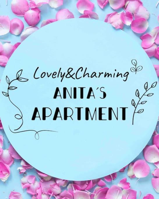 Lovely&Charming Anita'S Apartment Ponta Delgada Extérieur photo